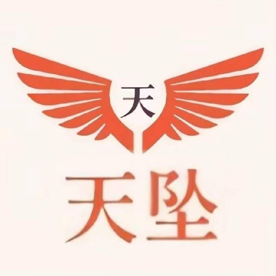 天坠项目名片的标志图像，展示天坠项目的多样性和高质量